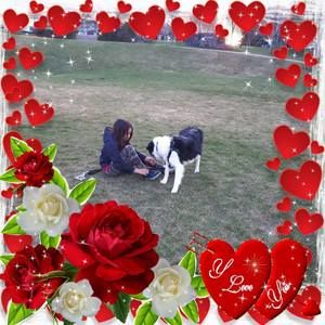 Meet your Posher, Nona